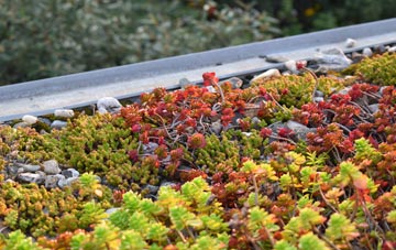 the cost of Lower Stone green roof installation